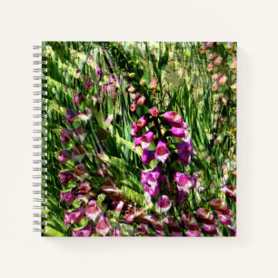 Foxglove Liebe...... Notizblock