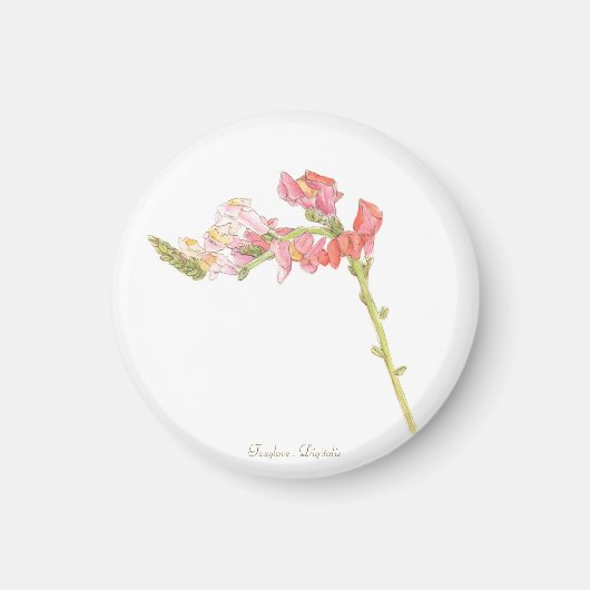 Foxglove Magnet (Vorne)