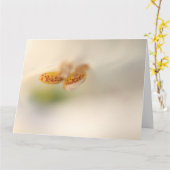 Foxglove-nah Karte (Gelbe Blume)