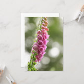 Foxglove Nature Foto Karte (Vorderseite/Rückseite Beispiel)