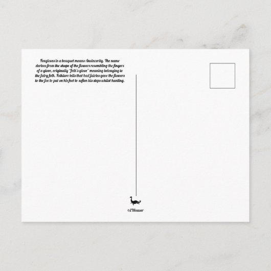 Foxglove Postcard Postkarte (Rückseite)