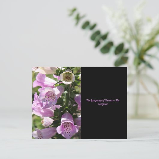 Foxglove Postcard Postkarte (Stehend Vorderseite)
