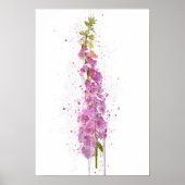 Foxglove Poster (Vorne)