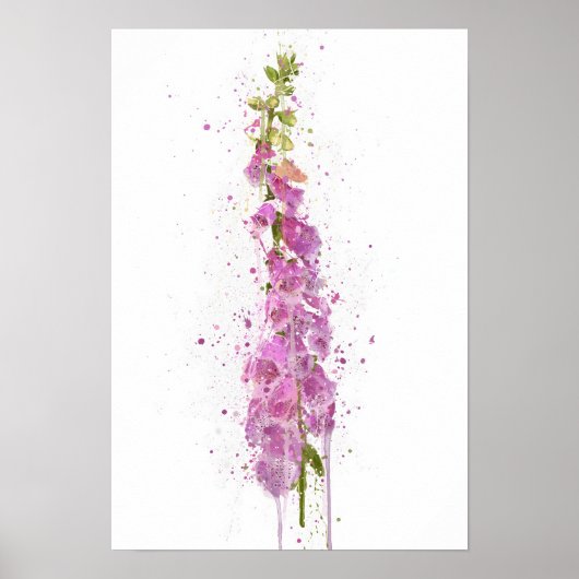 Foxglove Poster (Vorne)
