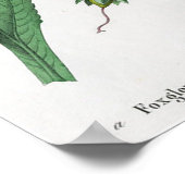 Foxglove Poster (Ecke)