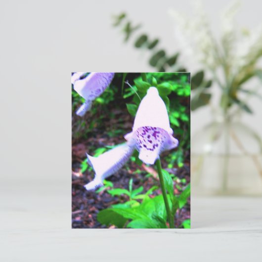Foxglove Postkarte (Stehend Vorderseite)