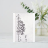 Foxglove Postkarte (Stehend Vorderseite)