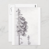 Foxglove Postkarte (Vorne/Hinten)