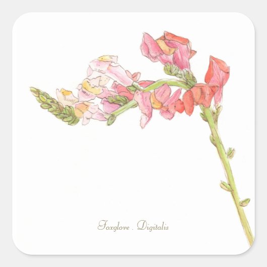Foxglove Sticker (Vorderseite)