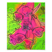 FOXGLOVES FOTODRUCK (Vorne)