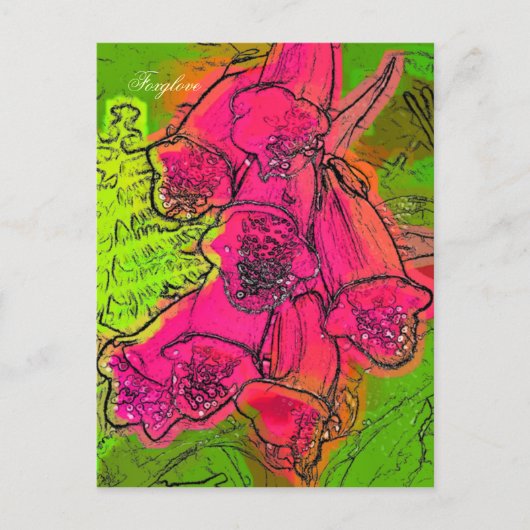 FOXGLOVES POSTKARTE (Vorderseite)