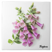 Foxhandschuhe Fliese (Vorderseite)