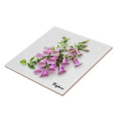 Foxhandschuhe Fliese (Seite)