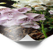 Foxhandschuhe Fotodruck (Ecke)