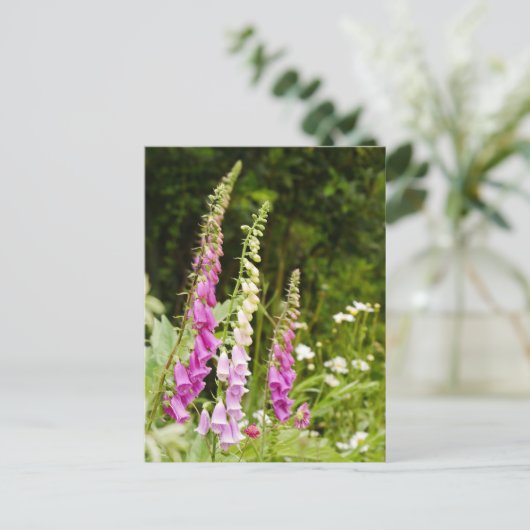 Foxhandschuhe Postkarte (Stehend Vorderseite)