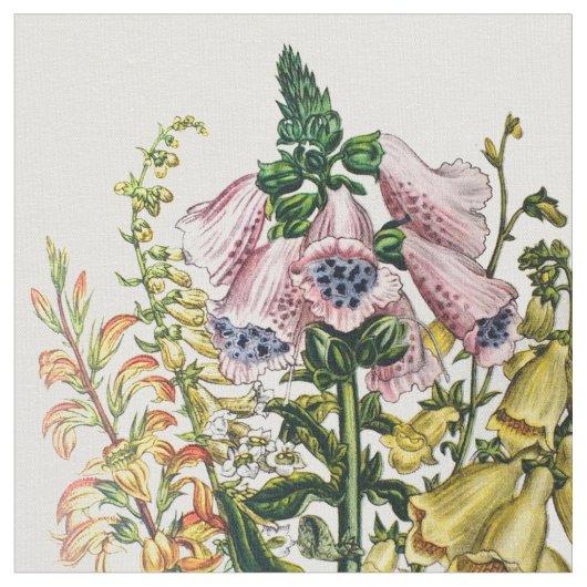 Foxhandschuhe Stoff (Nahaufnahme)