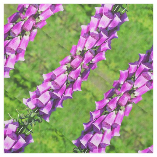 Foxhandschuhe Stoff (Muster)