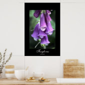 Foxhandschuhe von Steven Dale Poster (Küche)