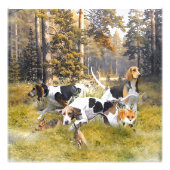 Foxhound Fotodruck (Vorne)