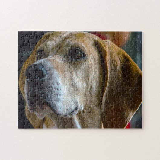 Foxhound Hund. Puzzle (Horizontal)