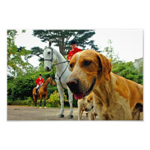 Foxhound Hunde Pferde West Berkshire Hunt England Fotodruck