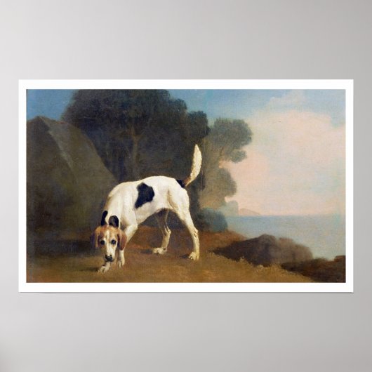 Foxhound on the Scent, c.1760 (Öl auf Papier geleg Poster (Vorne)
