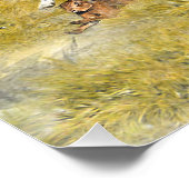 Foxhound Poster (Ecke)