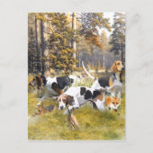 Foxhound Postkarte (Vorderseite)