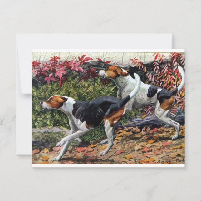 Foxhounds (Vorderseite)