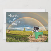 Foxi Moxi Cat's St. Patrick's Day (Vorderseite)