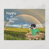 Foxi Moxi Cat's St. Patrick's Day Postkarte (Vorderseite)