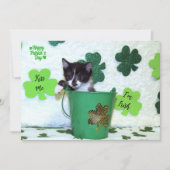 Foxi Moxi's Cat / Kitten St. Patrick's Day (Vorderseite)