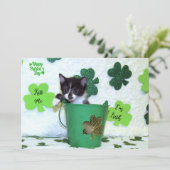 Foxi Moxi's Cat / Kitten St. Patrick's Day (Stehend Vorderseite)