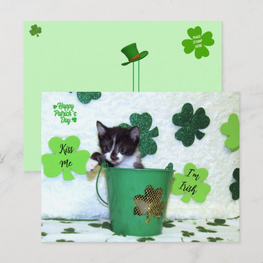 Foxie Cat St. Patrick's Day Card Postkarte (Vorne/Hinten)