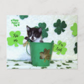 Foxie Cat St. Patrick's Day Card Postkarte (Vorderseite)