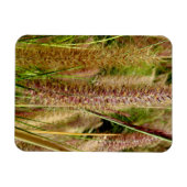 Foxtail Gras Makrofotografie Magnet (Horizontal)