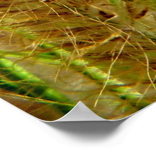 Foxtail Gras Makrofotografie Poster (Ecke)