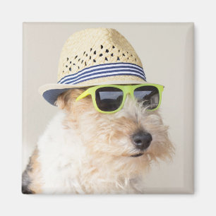 Foxterrier Magnet