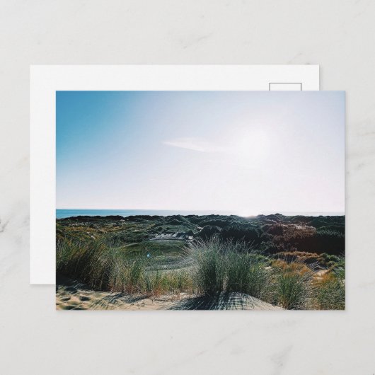 Foxton Beach Dunes Postkarte (Vorne/Hinten)