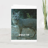 Foxy Birthday Card Karte (Rückseite)