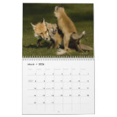 Foxy Damen-(und Herren) Kalender (Mär 2026)