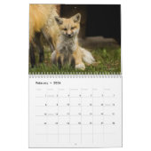 Foxy Damen-(und Herren) Kalender (Feb 2026)