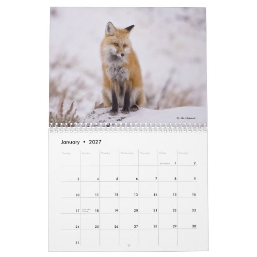 Foxy Damen-(und Herren) Kalender (Jan 2027)