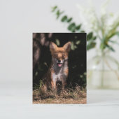 Foxy lächelt aus den Schatten Postkarte (Stehend Vorderseite)