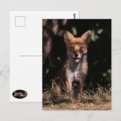 Foxy lächelt aus den Schatten Postkarte (Vorne/Hinten)