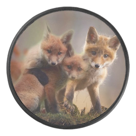 Foxy-Triplets Eishockey Puck (Vorderseite)