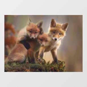 Foxy-Triplets Fensteraufkleber