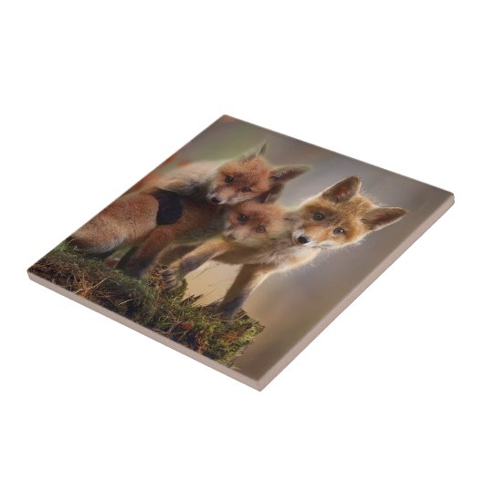 Foxy-Triplets Fliese (Seite)