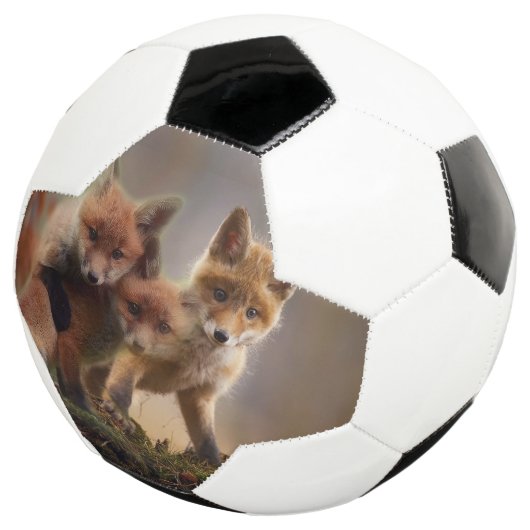 Foxy-Triplets Fußball (Dreiviertel)