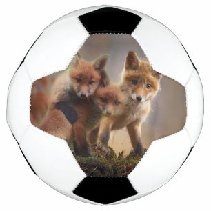 Foxy-Triplets Fußball